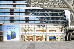 嗲到爆！沪上爆火的新晋网红打卡处，上海宁赶紧来白相